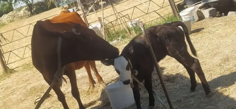 Mol sotiladiiiii 3 Mol sotiladiiiii 3