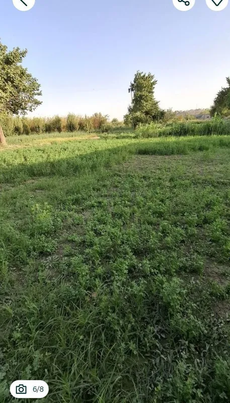 Продаётся участок — фото 5