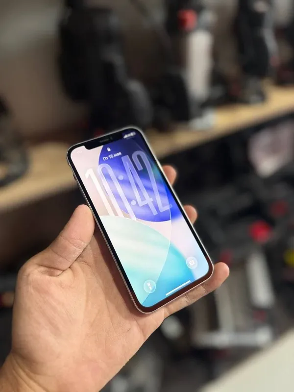 12 pro