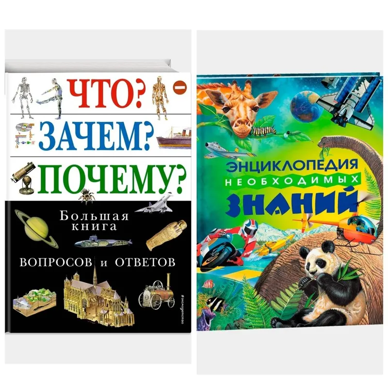 Доставка. Большая книга вопросов и ответов Что? зачем? почему?