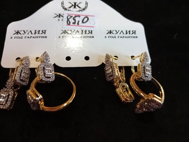 Мукаддам бужитериялари 1
