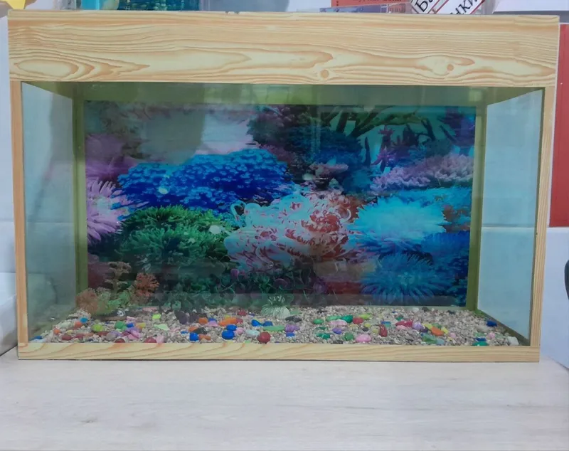 Аквариум на 60×33×20 2 Аквариум на 60×33×20 2