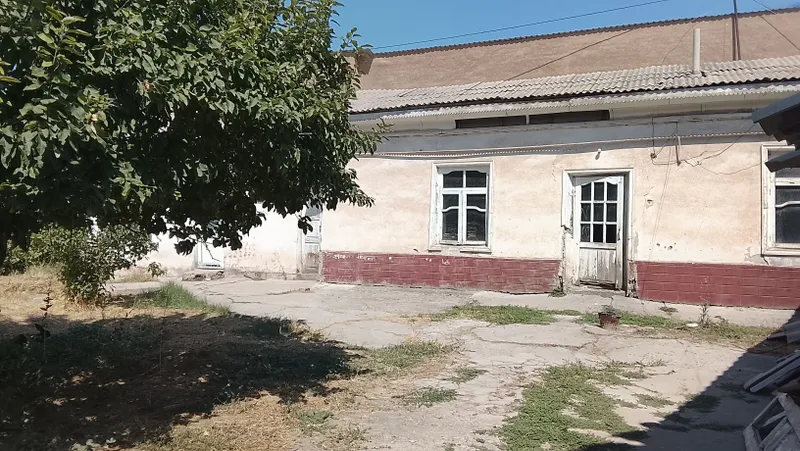 20 соток 1