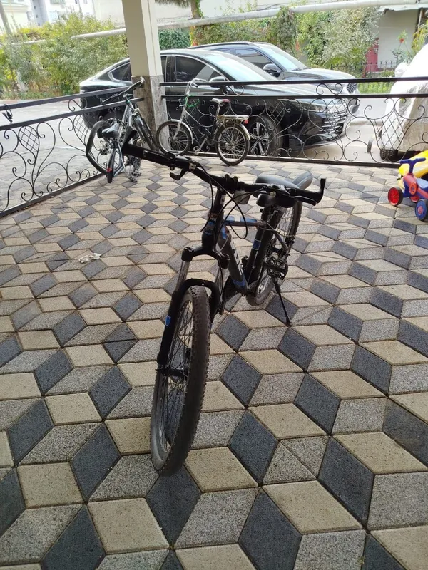 Kattalar uchun velosiped arzon. 2 Kattalar uchun velosiped arzon. 2