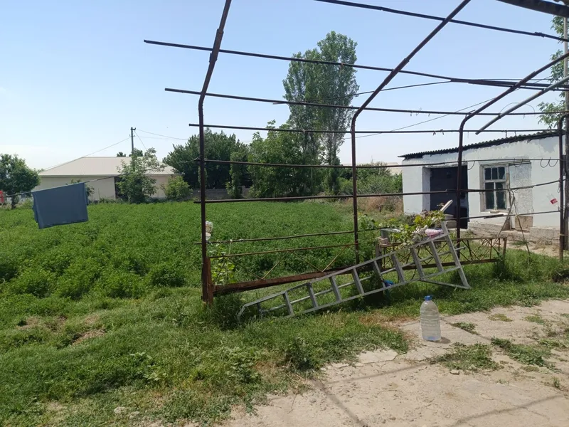 Toshkent dengizi atrofidan 30 soʻtxli kadastr xujatlariga ega xovli — фото 9