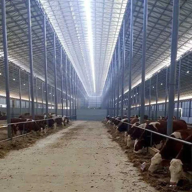 Do'stlar biz sizlar uchun xar xil turdagi tom — фото 6