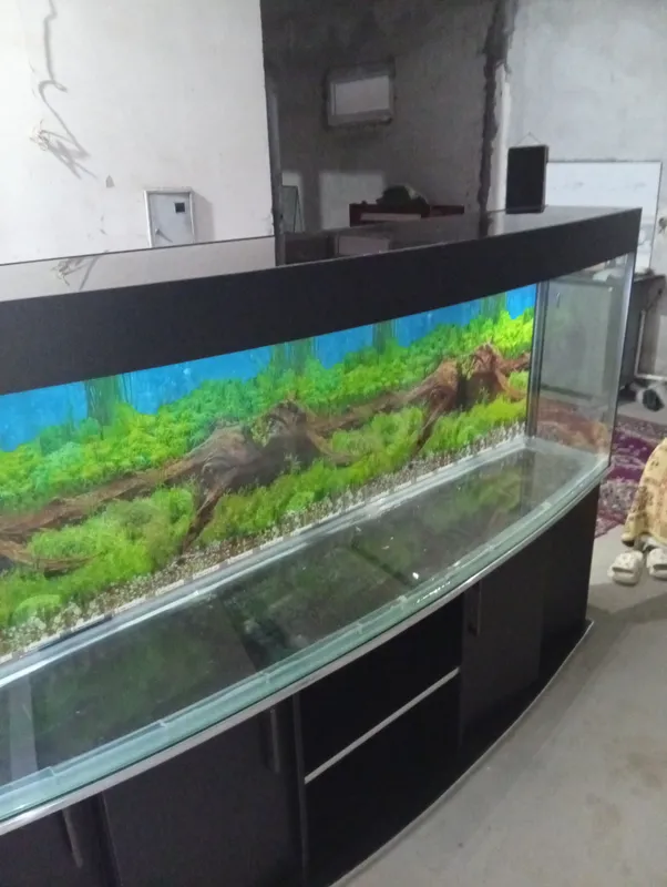 Yangi 700 litrli akvarium 1 Yangi 700 litrli akvarium 1