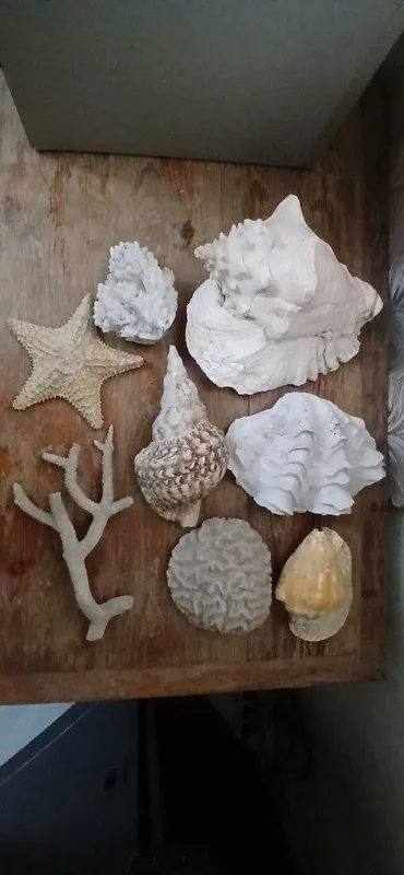 Аксессуары для аквариума 1