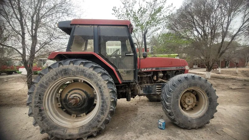 Case in 5250 xolati orta