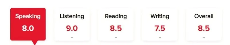 IELTS 8.5 | Individual Online English & IELTS Lessons IELTS 8.5 | Individual Online English & IELTS Lessons
