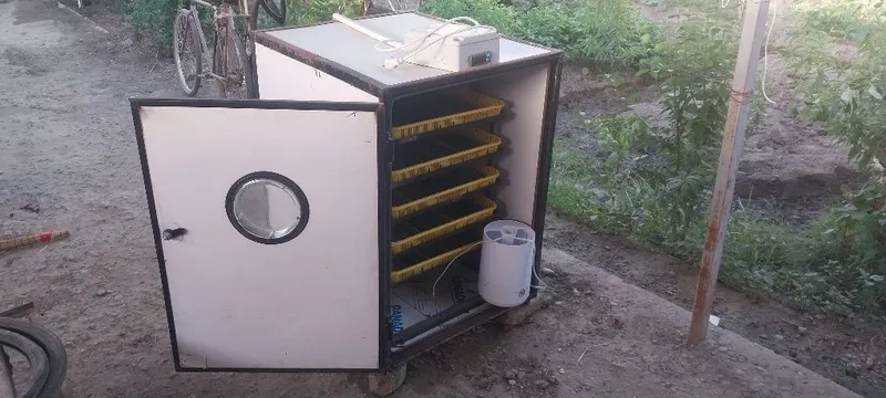 Inkubator. 500 talik 1 Inkubator. 500 talik 1