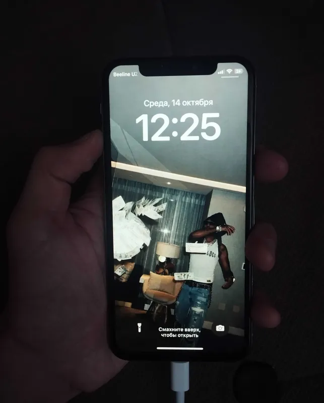iPhone X, 256 ГБ, 100 йомкс 3 iPhone X, 256 ГБ, 100 йомкс 3