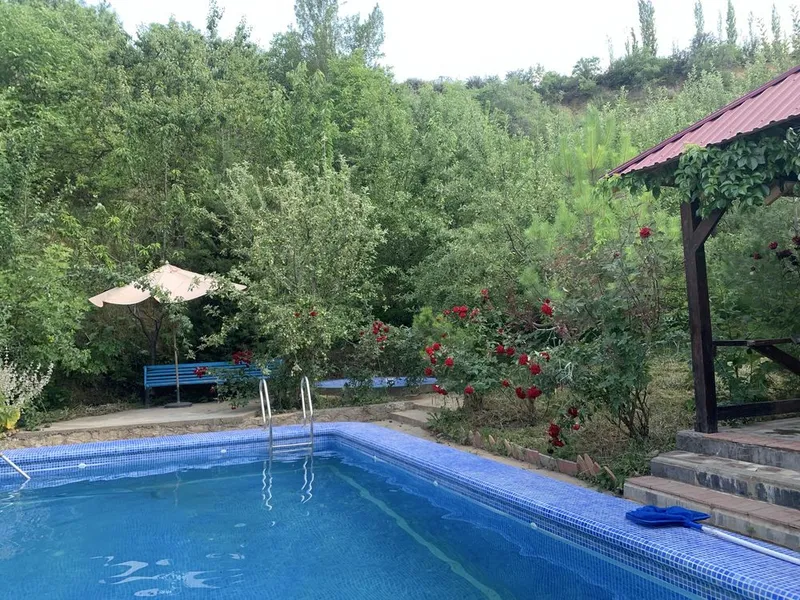 Dacha burchmula full