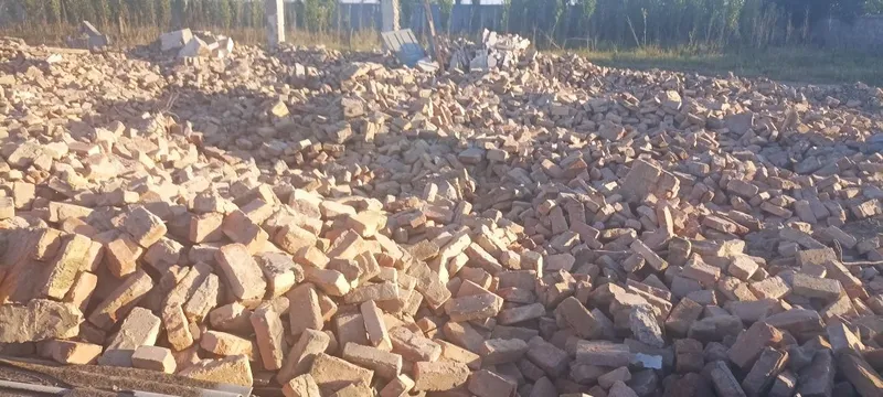 Pishgan Gish kop miqdorda kelishtirib bervoraman bekabod Zafardan — фото 2