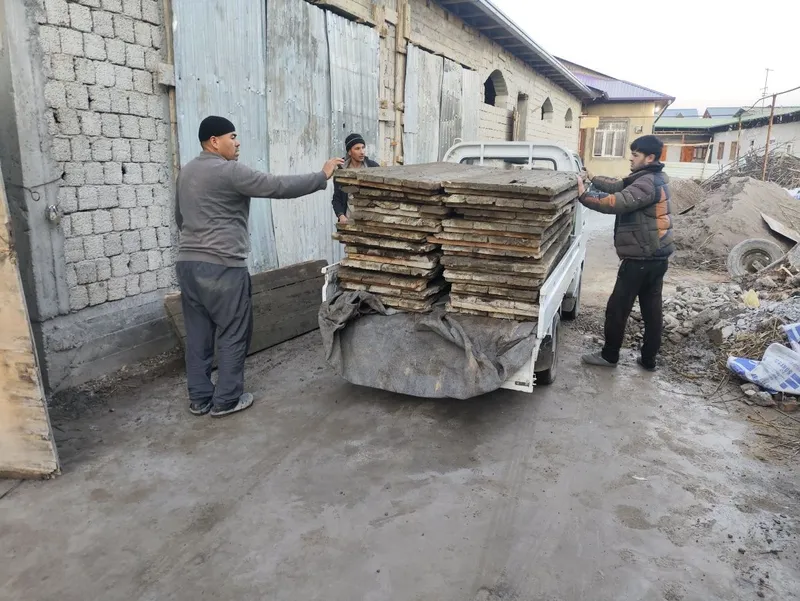 Mishalka Arava Lesa Apalifka Bayok Arendaga beramiz — фото 3