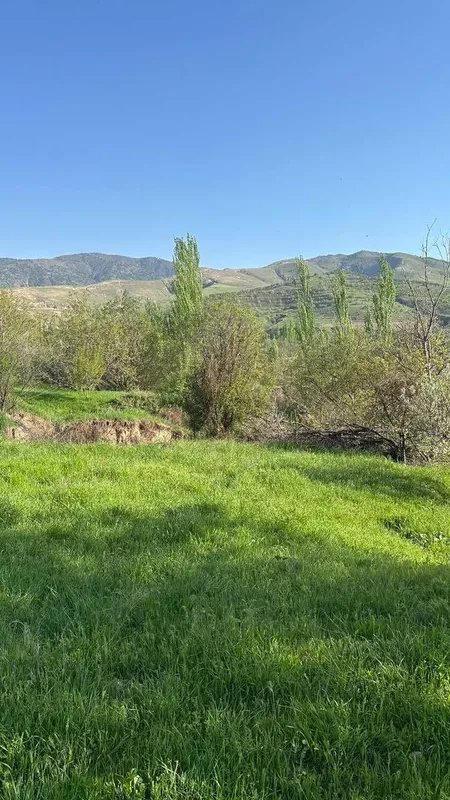 Quruvchilar uchun dachniy yer