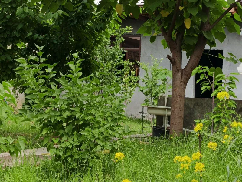 СВОЯ! СРОЧНО ПРОДАЁТСЯ УЮТНАЯ ДАЧА В Далаховли недалеко от Янги Узбеки — фото 9