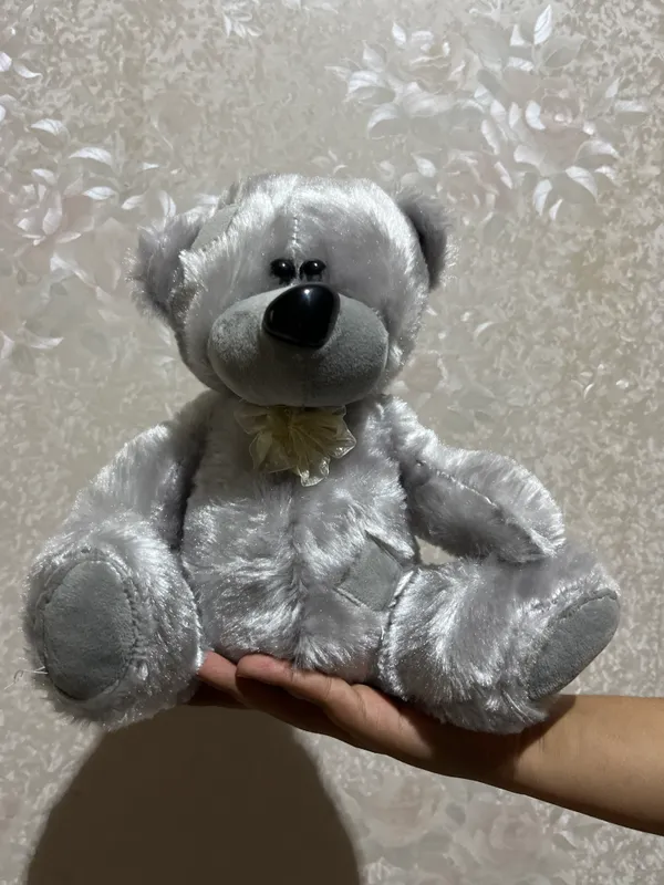 Teddi ayiqcha Teddi ayiqcha