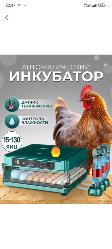 inkubator