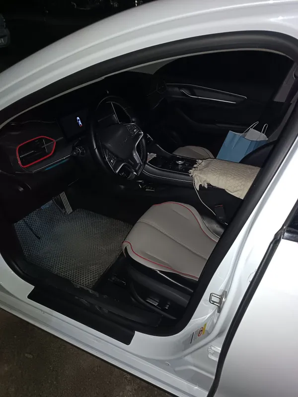 byd chazor GIBRID 4 byd chazor GIBRID 4