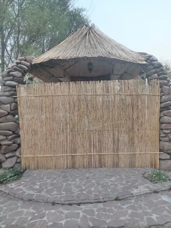 Qamich xar xil turdagi 2