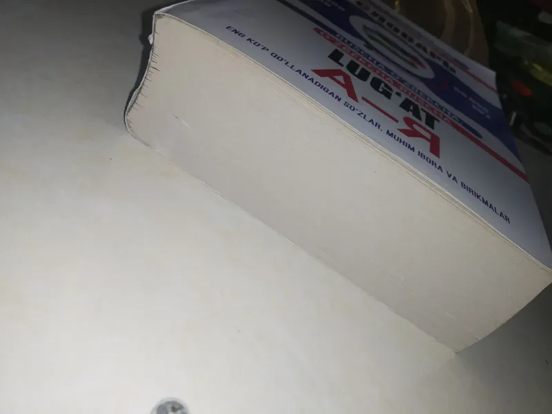Книга по русскому языку 2