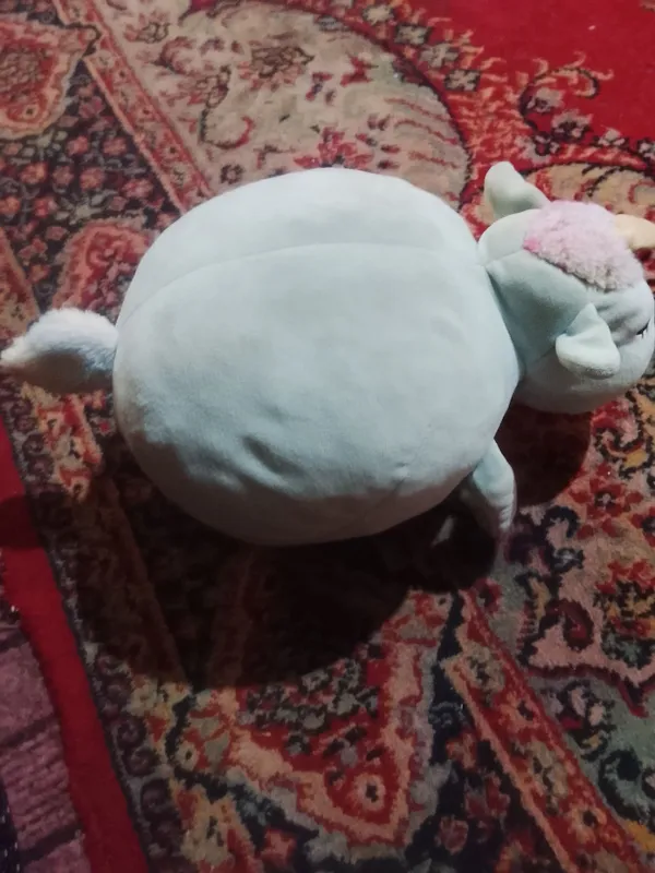 1 shohlik qoy 2