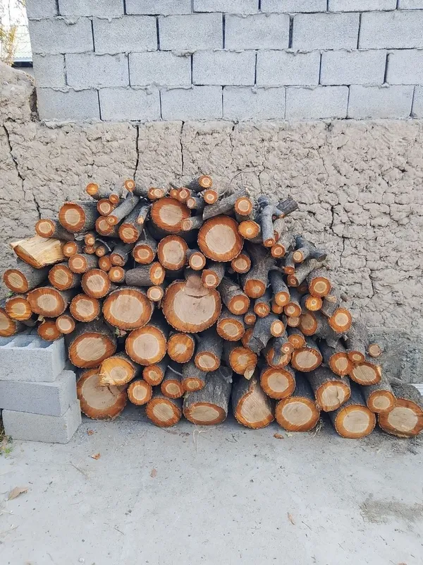 Oʻrik daraxti tupi bilan sotiladi va quruq oʻtin sotiladi — фото 5
