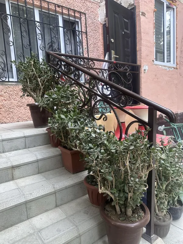 Комнатные цветы в горшках на продажу!! 1 Комнатные цветы в горшках на продажу!! 1