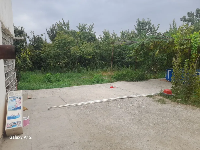 Бу́ш эр сотилади — фото 1