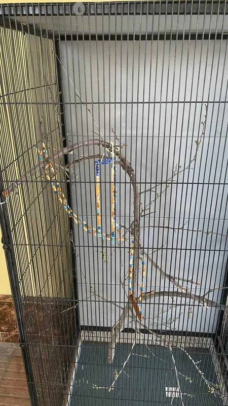 клетка для птиць — фото 2