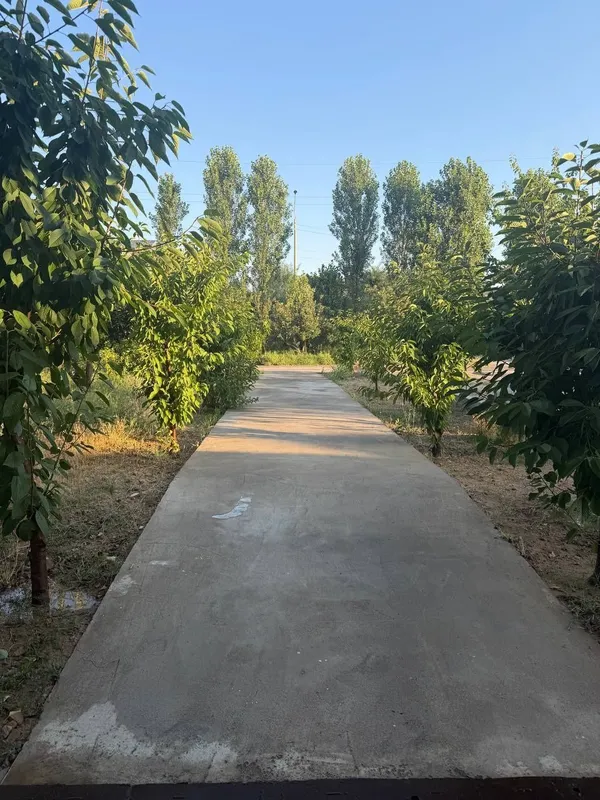 Bitonka yolni yuzida 1 sotix hovli sotiladi 3 Bitonka yolni yuzida 1 sotix hovli sotiladi 3