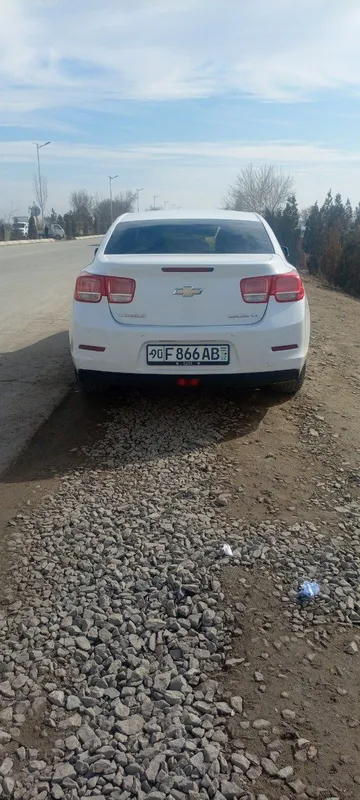 Malibu sotiladi 2015