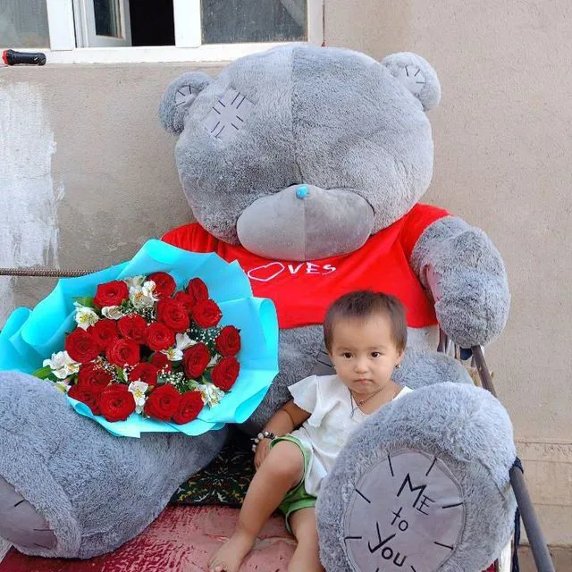 Teddy ayiq