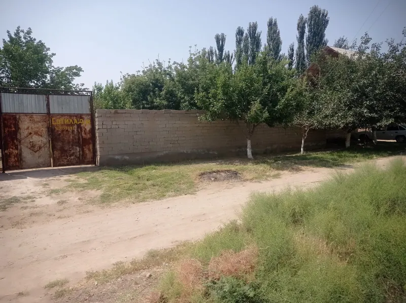 Aralovul mahallasidan 6 sutikli uchastka sotiladi,