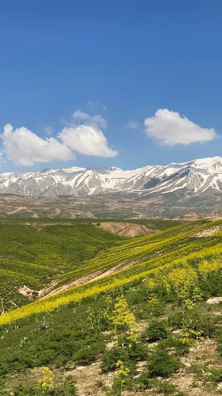 去爬山,Hiking to mountain ,Tog oldi xududlariga sayoxatlar — фото 1