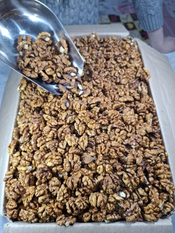 Грецкие орехи местные yongoq mestniy yong'oq chaqchuq nuts — фото 3