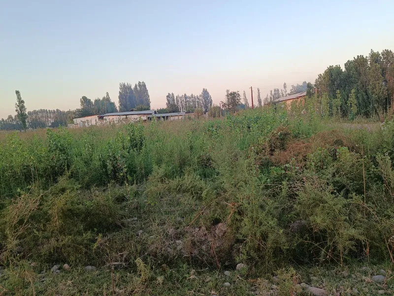 Uchaska sotiladi manzil Toshkent viloyati Boʻka tumani Lesinka qishlog 6 Uchaska sotiladi manzil Toshkent viloyati Boʻka tumani Lesinka qishlog 6