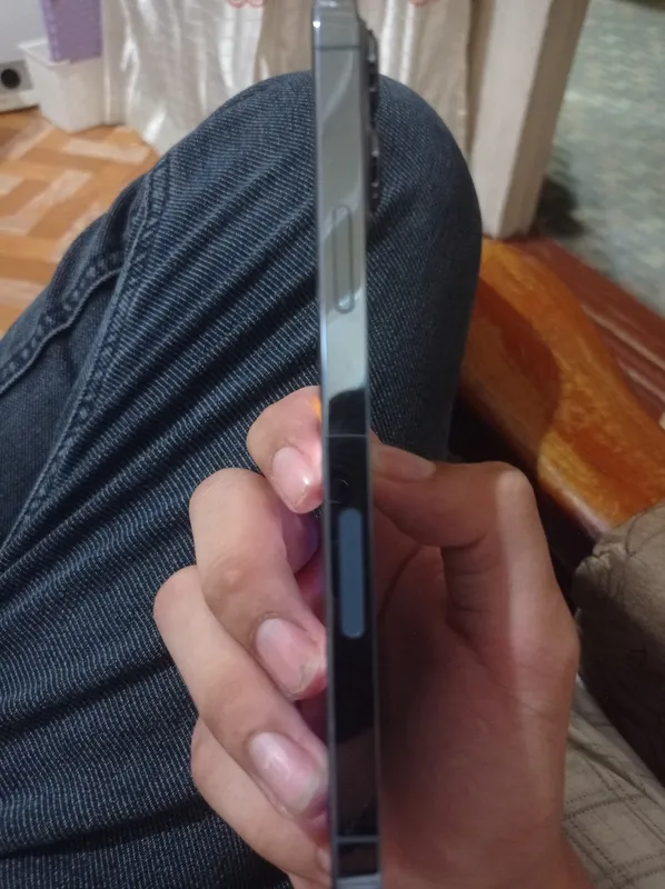 iPhone 13 Pro Max 1