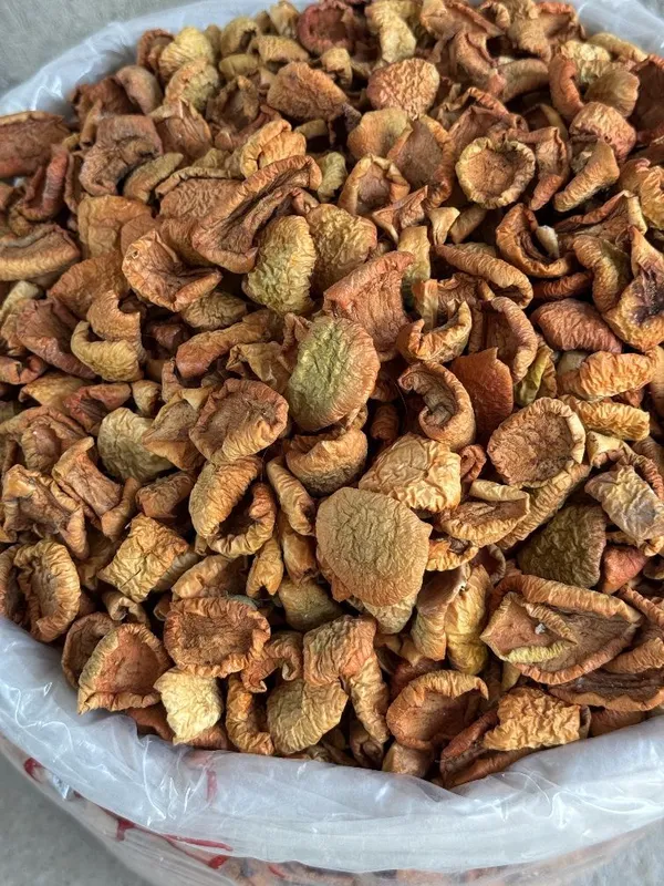Яблоко сушенное olma quritilgan apple dried qoqi — фото 2