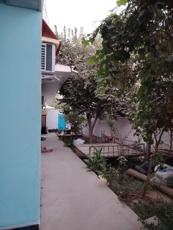 Talabga javob beradi holati judaym ZUR. — фото 2