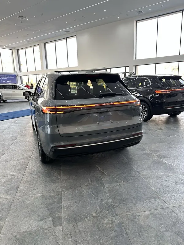 Byd Championga konkurent Geely EX5 Hybrid — фото 6
