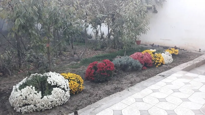 Участок 7 сотка, икки этажли уй, 2 та туалет 2 та ванна бор, 7 хона — фото 4