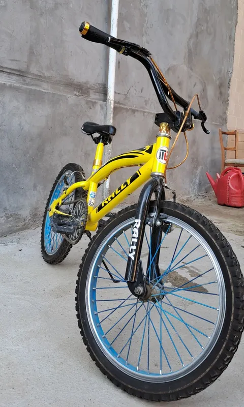 Velosiped, 20 Rally BMX 155