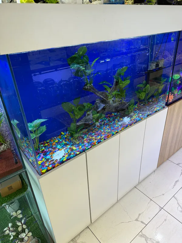 akvarium sotiladi 400 litrli 1 akvarium sotiladi 400 litrli 1