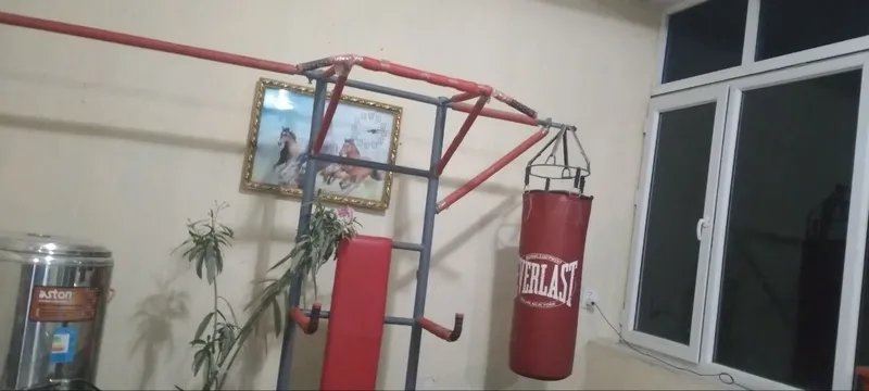 Trinajor sotiladi