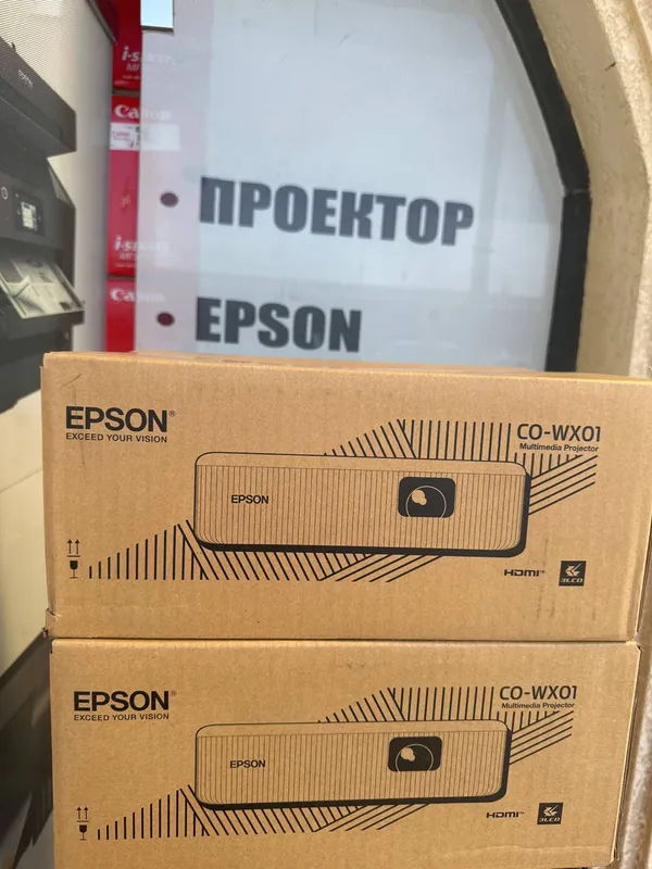 EPSON CO-WX01