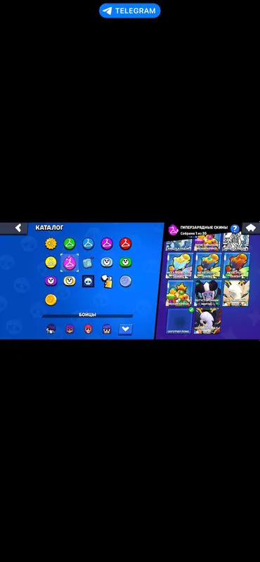 Brawl 5