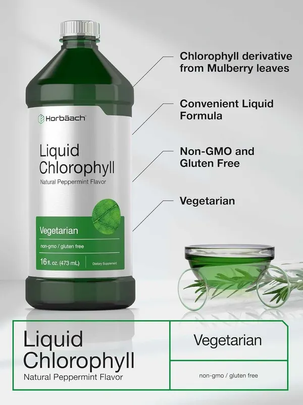 Хлорофилл Horbäach Chlorophyll Liquid Drops 478 мл Америка — фото 2
