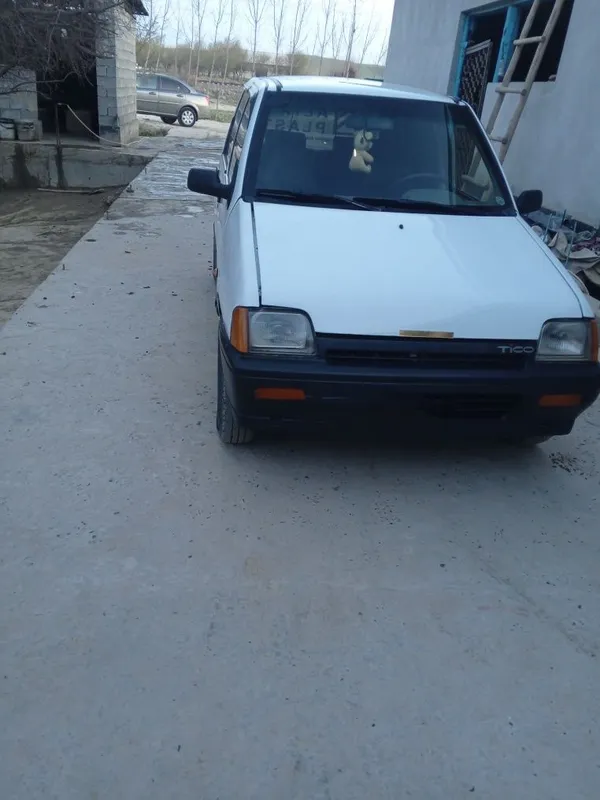 Tico xolati alo darajada